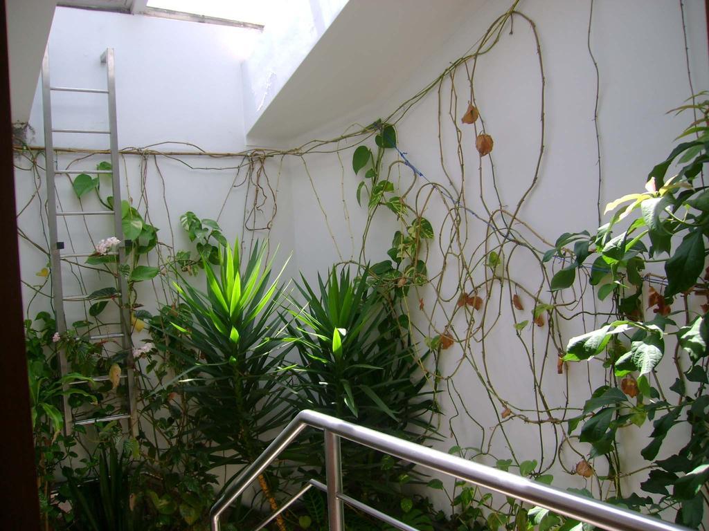 Hotel Residencial Moeda à Coïmbre Extérieur photo